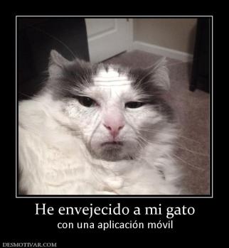 He envejecido a mi gato con una aplicación móvil