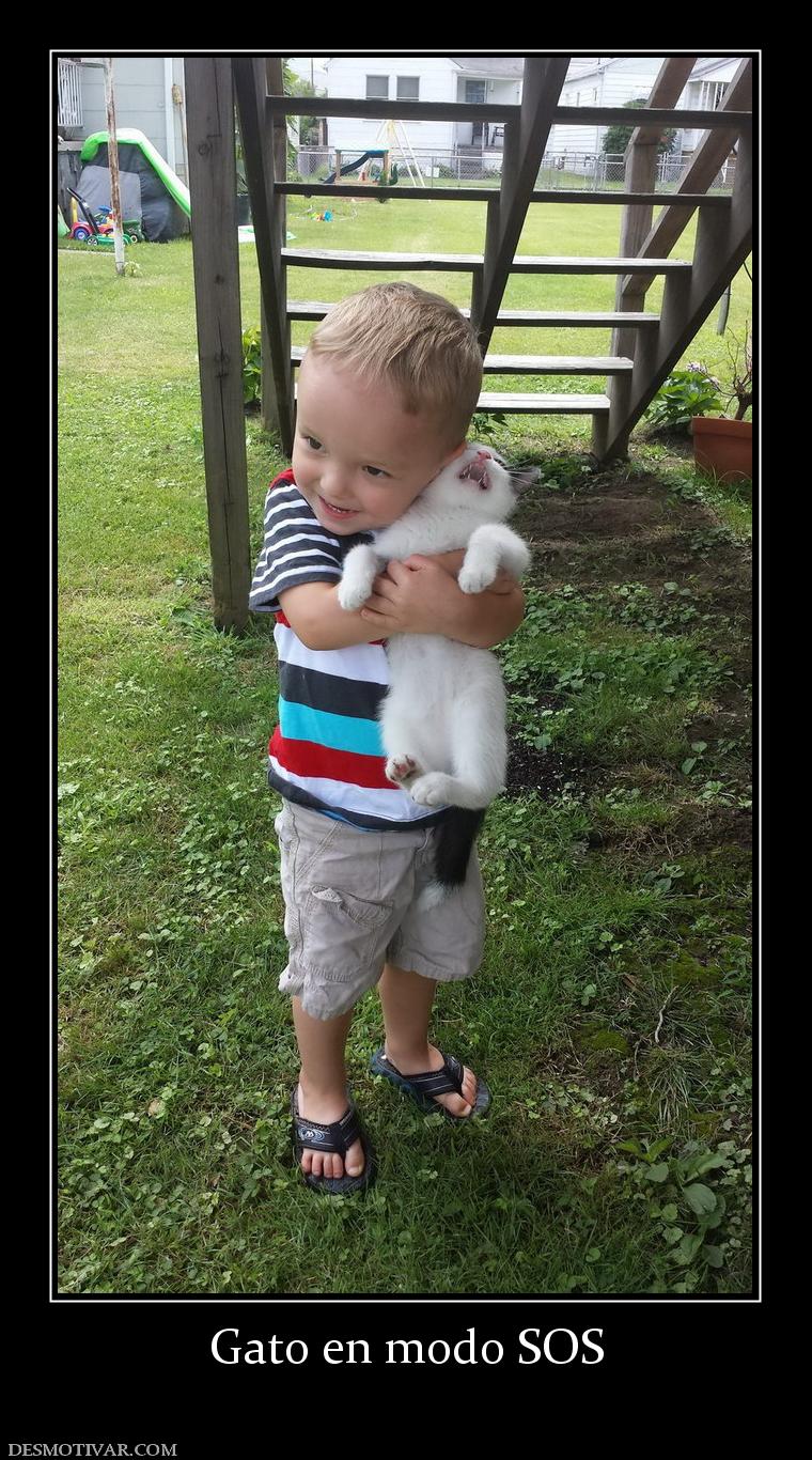 Gato en modo SOS