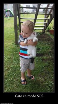 Gato en modo SOS