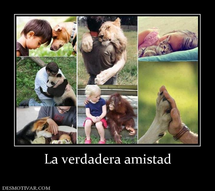 La verdadera amistad