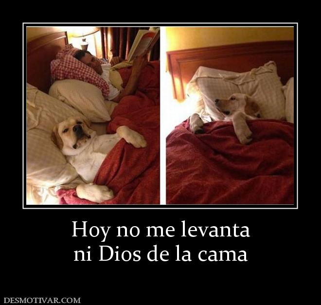 Hoy no me levanta ni Dios de la cama