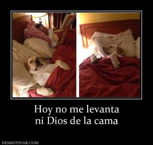 Hoy no me levanta ni Dios de la cama