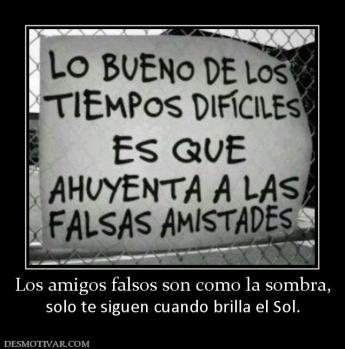 Los amigos falsos son como la sombra, solo te siguen cuando brilla el Sol.