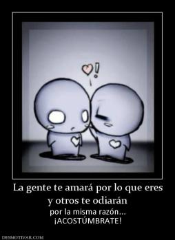 La gente te amará por lo que eres y otros te odiarán por la misma razón... ¡ACOSTÚMBRATE!