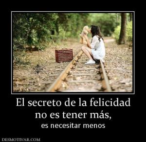 El secreto de la felicidad no es tener más,  es necesitar menos