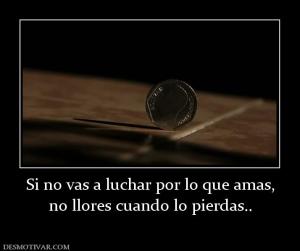 Si no vas a luchar por lo que amas, no llores cuando lo pierdas..