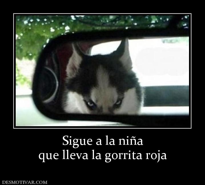 Sigue a la niña que lleva la gorrita roja