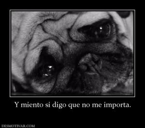 Y miento si digo que no me importa.
