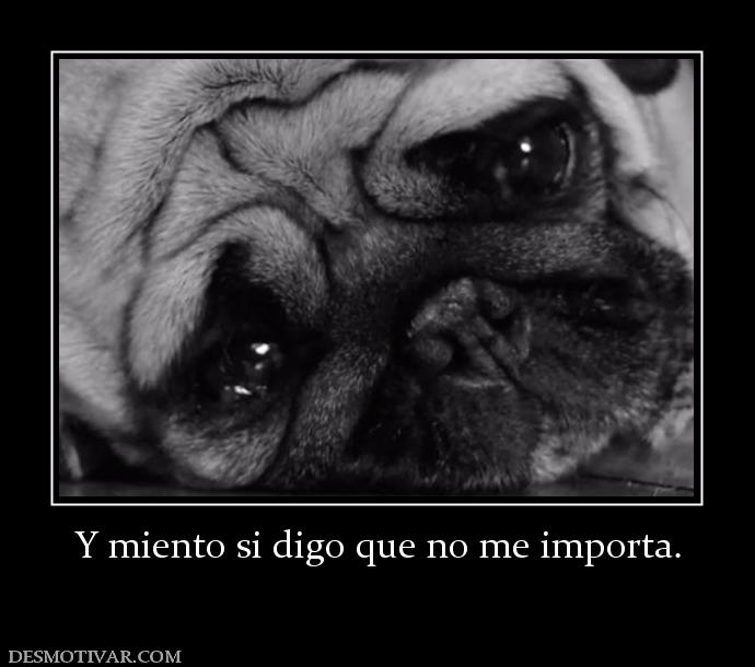 Y miento si digo que no me importa.