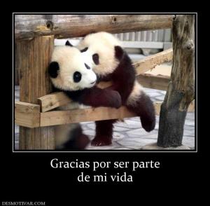 Gracias por ser parte de mi vida