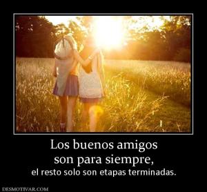 Los buenos amigos son para siempre, el resto solo son etapas terminadas.