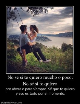 No sé si te quiero mucho o poco. No sé si te quiero  por ahora o para siempre. Sé que te quiero  y eso es todo por el momento.