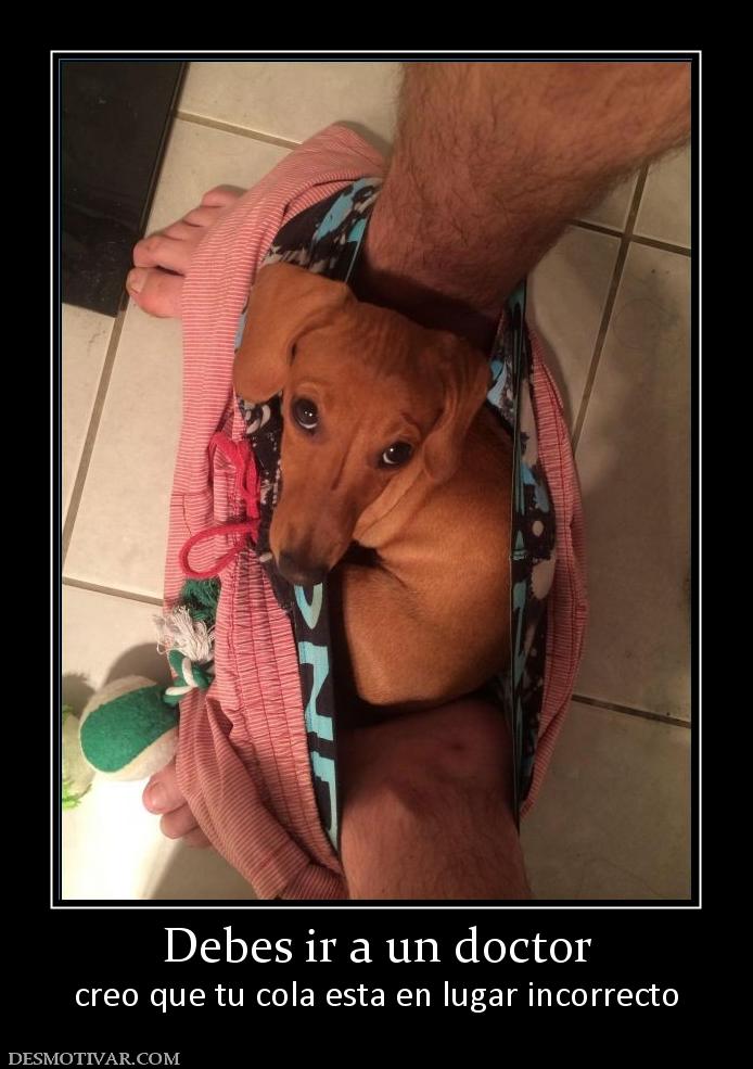 Debes ir a un doctor creo que tu cola esta en lugar incorrecto