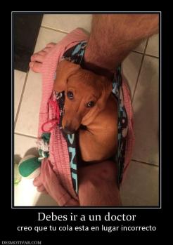 Debes ir a un doctor creo que tu cola esta en lugar incorrecto