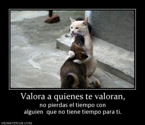 Valora a quienes te valoran, no pierdas el tiempo con alguien  que no tiene tiempo para ti.
