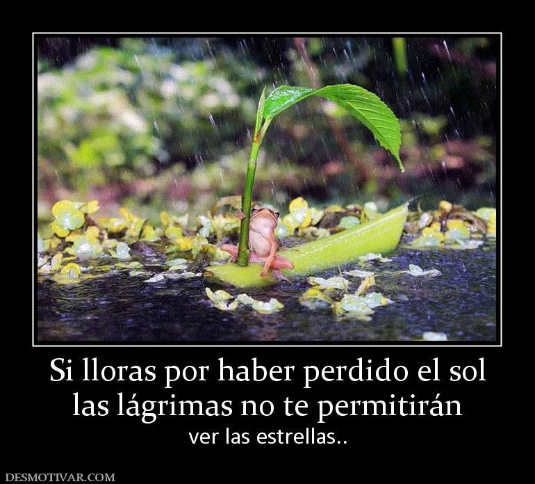 Si lloras por haber perdido el sol las lágrimas no te permitirán ver las estrellas..