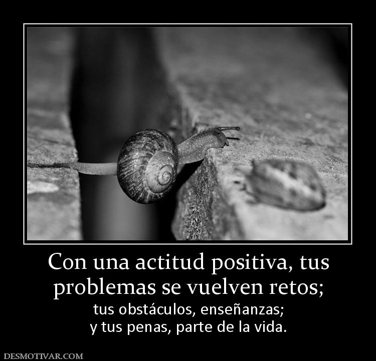 Con una actitud positiva, tus problemas se vuelven retos;  tus obstáculos, enseñanzas; y tus penas, parte de la vida.