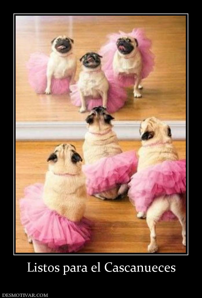 Listos para el Cascanueces