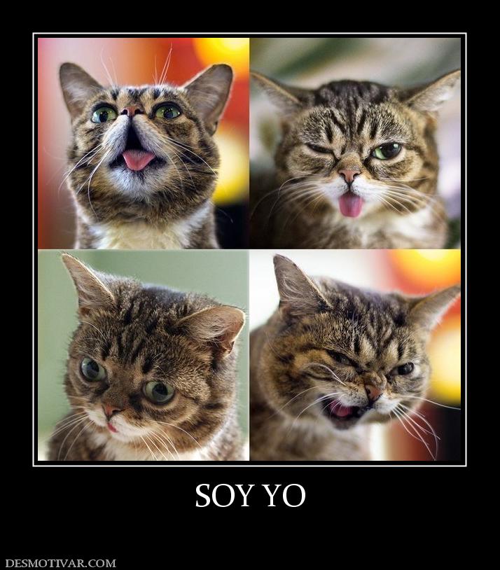 SOY YO