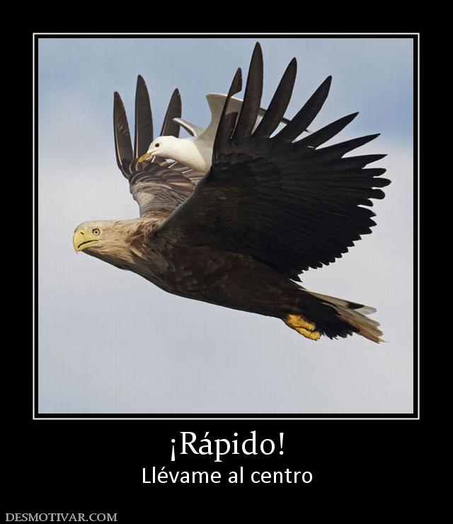 ¡Rápido! Llévame al centro