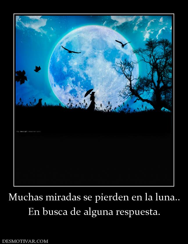Muchas miradas se pierden en la luna.. En busca de alguna respuesta.