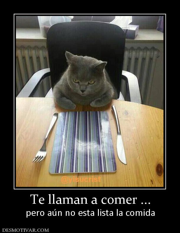 Te llaman a comer ... pero aún no esta lista la comida