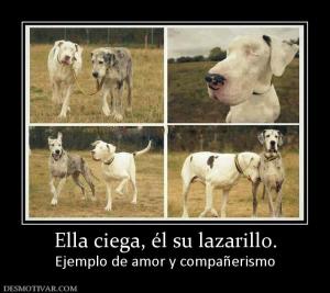 Ella ciega, él su lazarillo. Ejemplo de amor y compañerismo