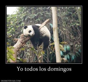 Yo todos los domingos