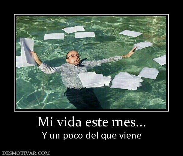 Mi vida este mes... Y un poco del que viene