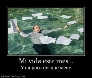 Mi vida este mes... Y un poco del que viene