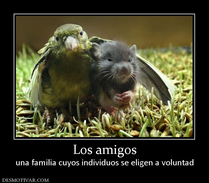 Los amigos una familia cuyos individuos se eligen a voluntad