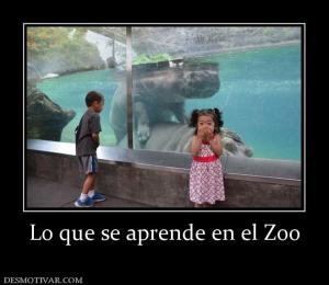 Lo que se aprende en el Zoo