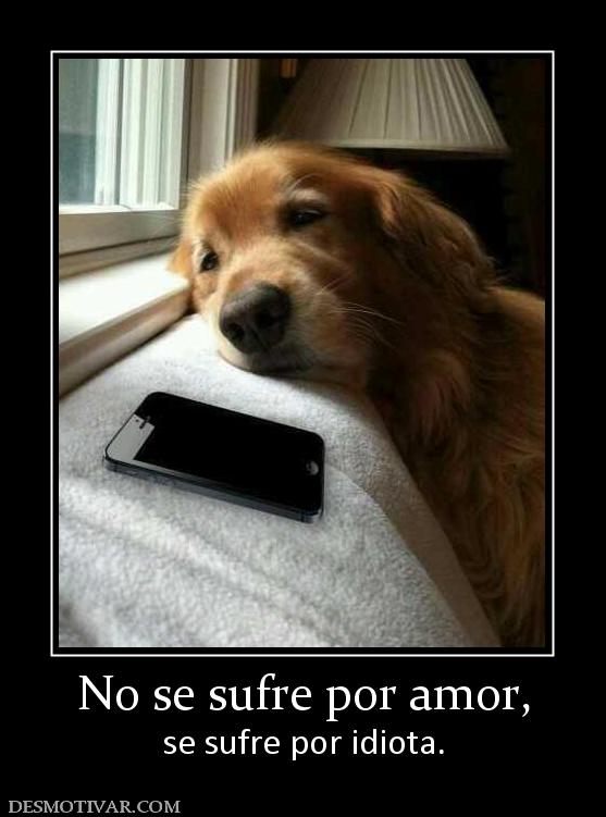 No se sufre por amor, se sufre por idiota.