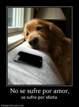No se sufre por amor, se sufre por idiota.