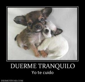 DUERME TRANQUILO Yo te cuido