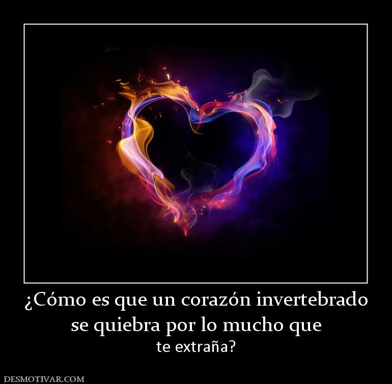 ¿Cómo es que un corazón invertebrado se quiebra por lo mucho que te extraña?