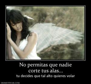 No permitas que nadie corte tus alas... tu decides que tal alto quieres volar