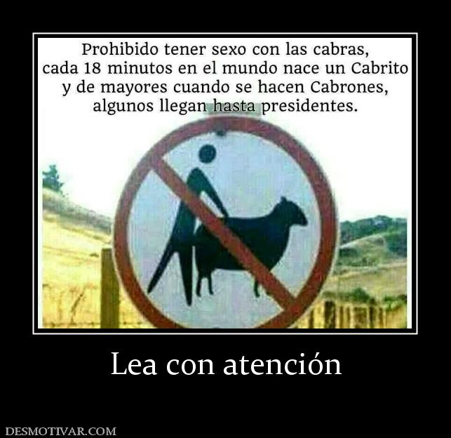 Lea con atención