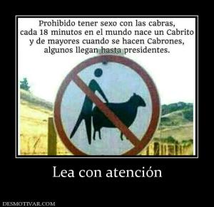 Lea con atención