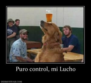 Puro control, mi Lucho