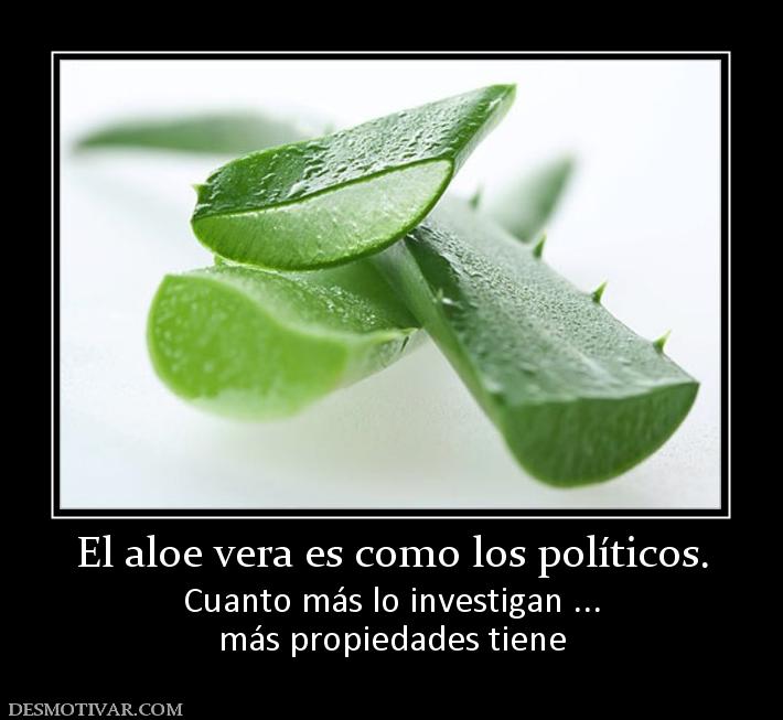 El aloe vera es como los políticos. Cuanto más lo investigan ... más propiedades tiene