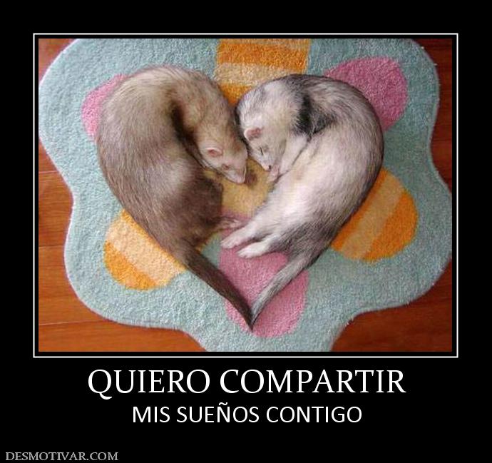QUIERO COMPARTIR MIS SUEÑOS CONTIGO