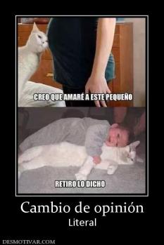 Cambio de opinión Literal