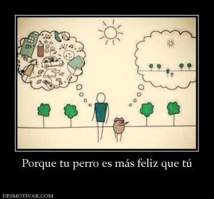 Porque tu perro es más feliz que tú