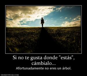 Si no te gusta donde  cámbialo... Afortunadamente no eres un árbol.