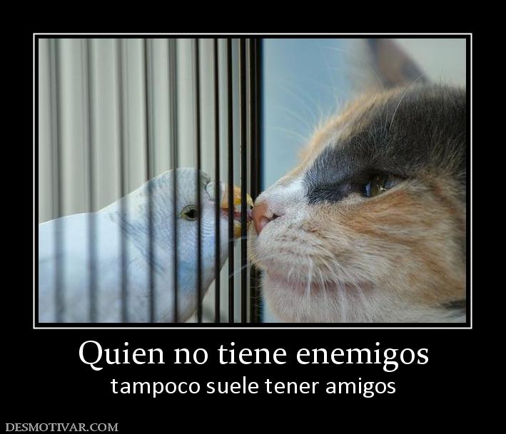 Quien no tiene enemigos tampoco suele tener amigos
