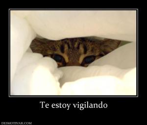 Te estoy vigilando