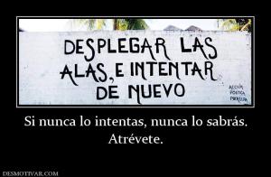 Si nunca lo intentas, nunca lo sabrás. Atrévete.