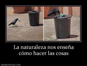 La naturaleza nos enseña cómo hacer las cosas