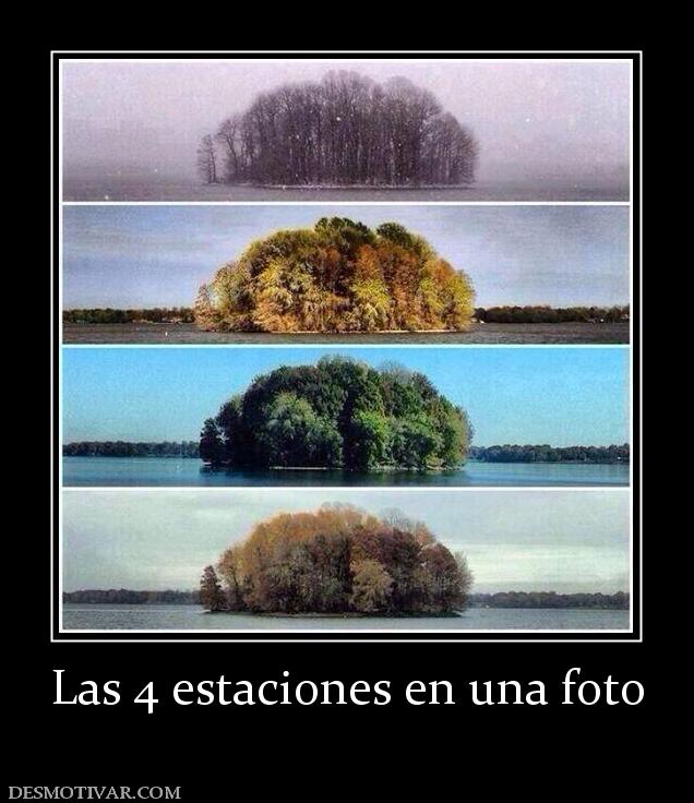 Las 4 estaciones en una foto